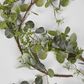 Eucalyptus Gypsophila Garland