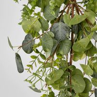 Eucalyptus Gypsophila Garland