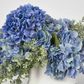 Cove Hydrangea Medium Arrangement