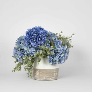 Cove Hydrangea Medium Arrangement