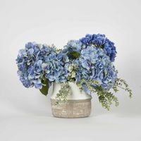 Cove Hydrangea Medium Arrangement