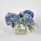 Cove Hydrangea Medium Arrangement