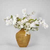 Caesna Arrangement
