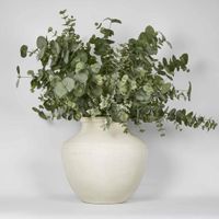 Murcia Eucalyprus Arrangement