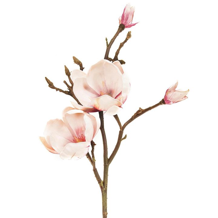 Magnolia Stem 60cm Light Pink