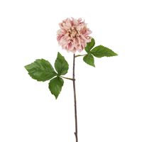 Dried Look Dahlia Stem Small 43cm Pink