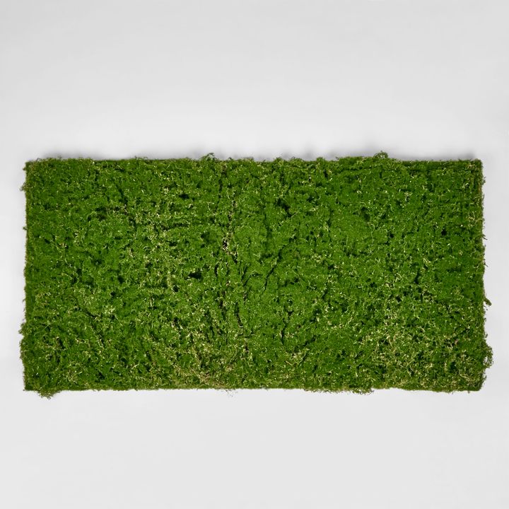 Moss Mat 100x50cm