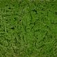 Moss Mat 100x50cm