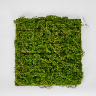 Moss Mat  40X40cm