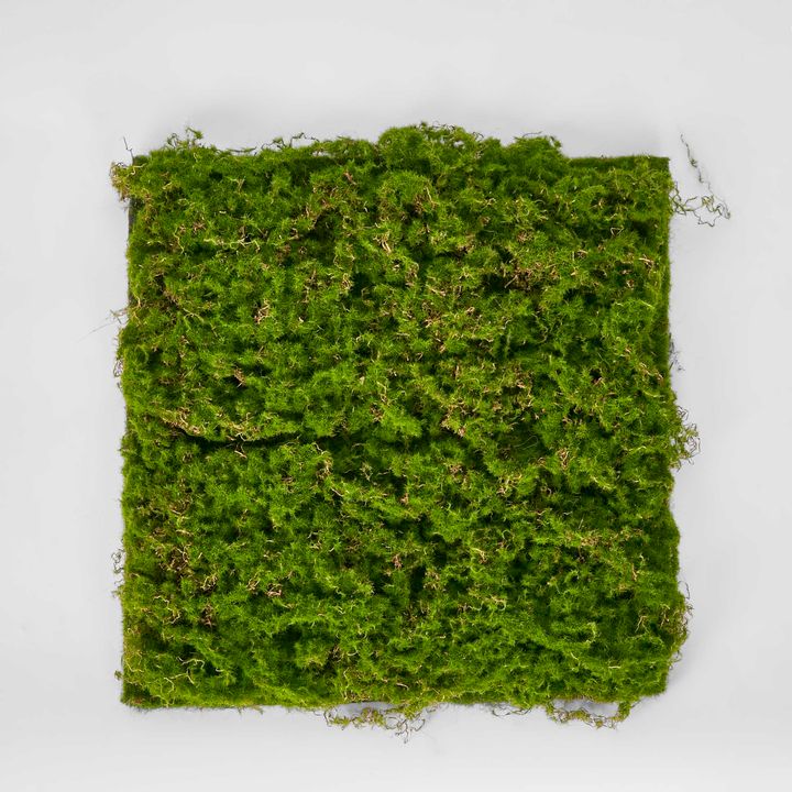 Moss Mat  40X40cm