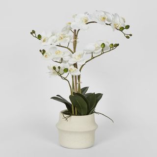 Real Touch Phalaenopsis Arrangement in Zara Pot 58cm