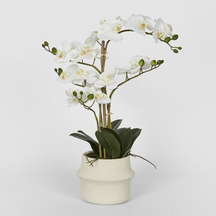 Real Touch Phalaenopsis Arrangement in Zara Pot 58cm