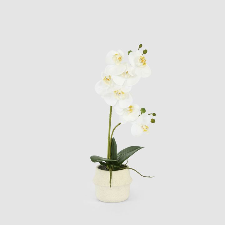 Real Touch Phalaenopsis Arrangement in Zara Pot 46cm
