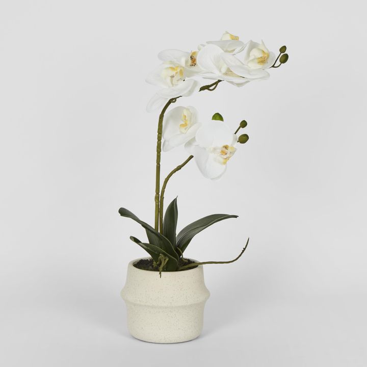 Real Touch Phalaenopsis Arrangement in Zara Pot 46cm