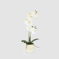 Real Touch Phalaenopsis Arrangement in Zara Pot 46cm