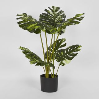 Variegated Real Touch Monstera 75cm