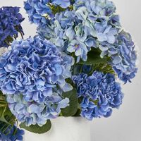 Cove Hydrangea Large Arrangement