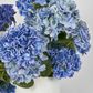 Cove Hydrangea Large Arrangement