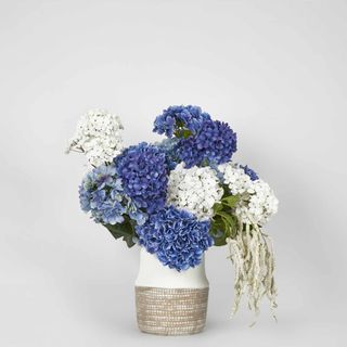 Cove Hydrangea Large Arrangement