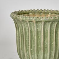 Lexi Urn Green Short