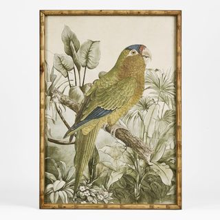 Jungle Parrot Wall Art A