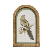 Parrots in Arches Wall Art Set of 4