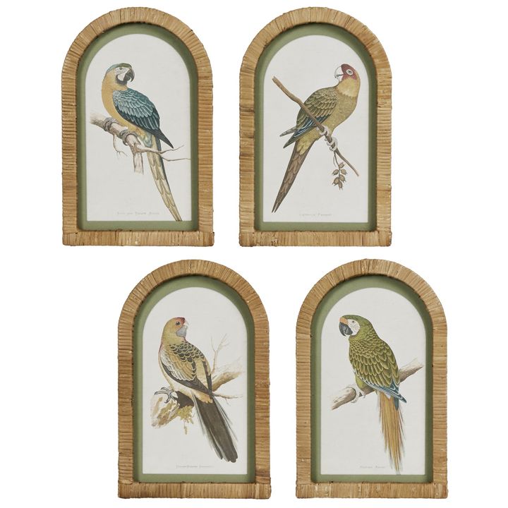 Parrots in Arches Wall Art Set of 4