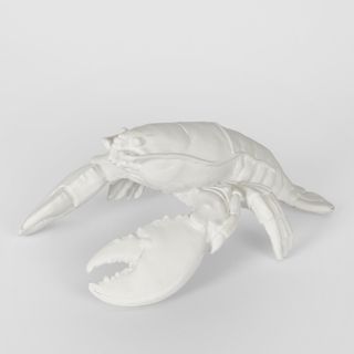 Larry White  Lobster
