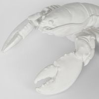 Larry White  Lobster