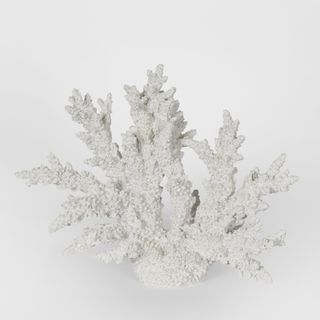 Delmar White Coral 34X13X27CM