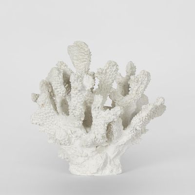 Bay White Coral  19X18X17CM