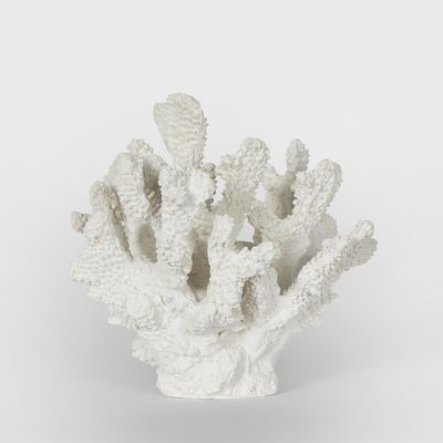 Bay White Coral  19X18X17CM