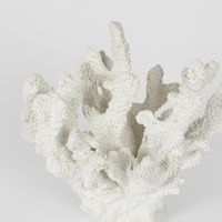 Bay White Coral  19X18X17CM