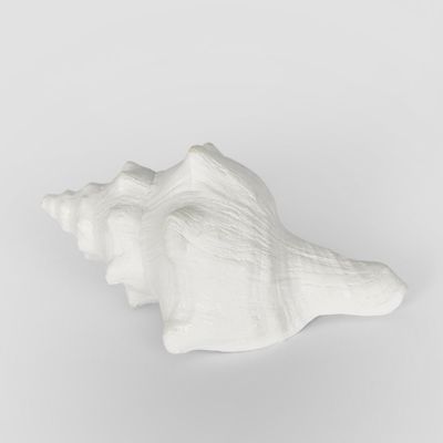 Seb White Sea Snail  12.5X7X5CM