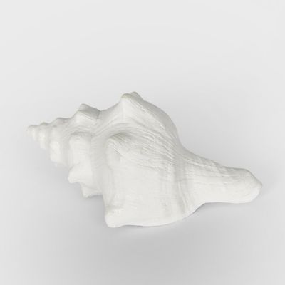 Seb White Sea Snail  12.5X7X5CM