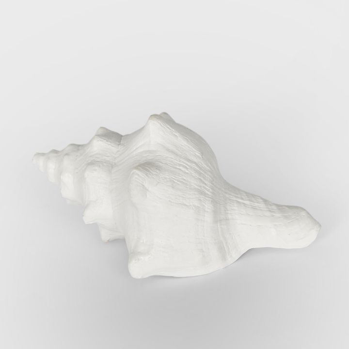 Seb White Sea Snail  12.5X7X5CM