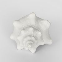 Seb White Sea Snail  12.5X7X5CM