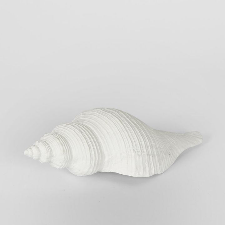 Sara White Sea Snail 23X8X7CM
