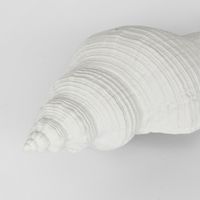 Sara White Sea Snail 23X8X7CM