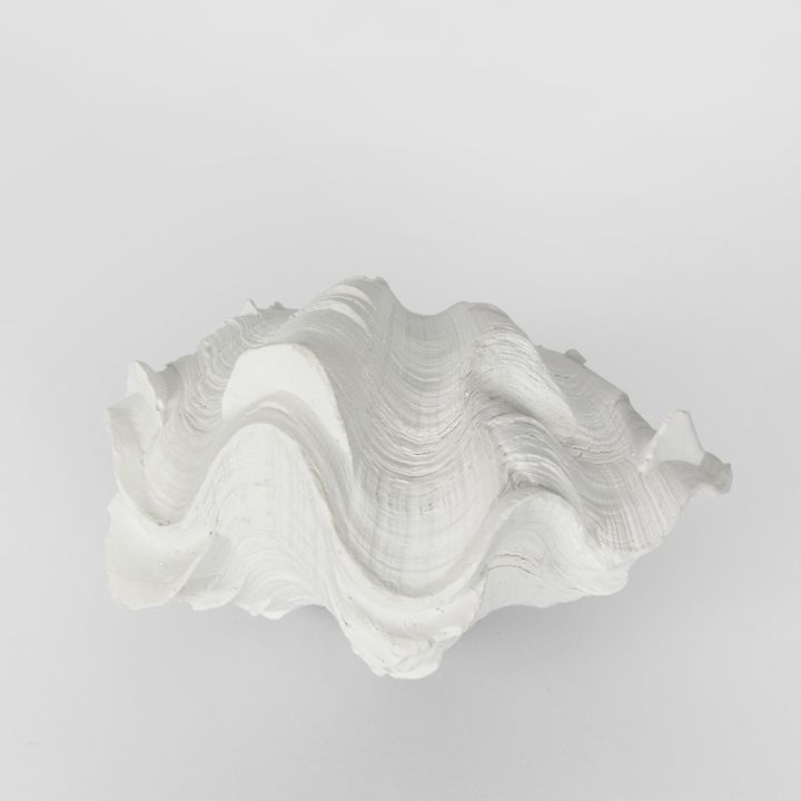 Santi White Sea Snail 14X7X10CM