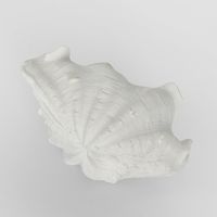 Santi White Sea Snail 14X7X10CM