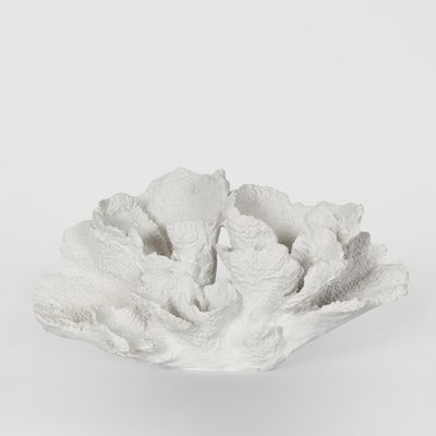 Laguna White Coral 26.5X14.5X13.5CM