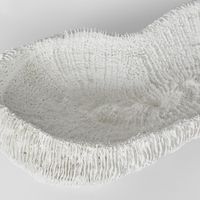 Haven White Coral Bowl 36X18X9CM