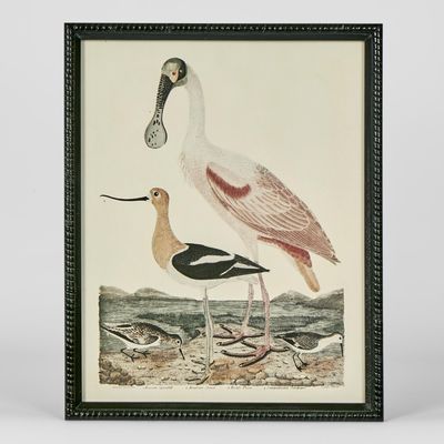 Graceful Cranes Wall Art D