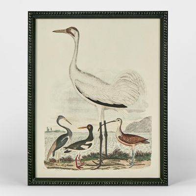 Graceful Cranes Wall Art C