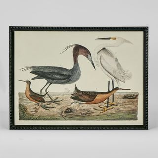 Graceful Cranes Wall Art E