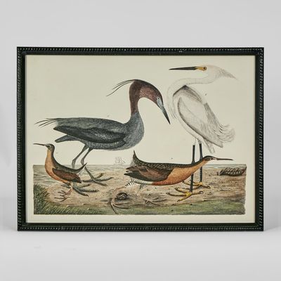 Graceful Cranes Wall Art E