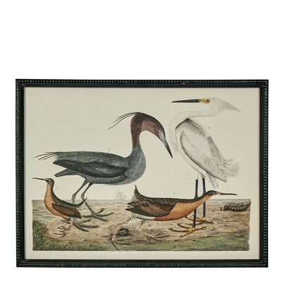 Graceful Cranes Wall Art E