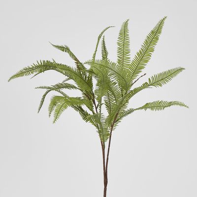 Fern Leaf Spray