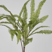 Fern Leaf Spray